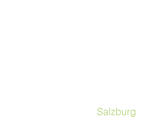 Villa Vicina Logo